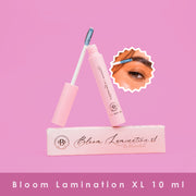 Bloomshell Lamination Fijador De Cejas XL