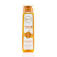 Anyeluz Shampoo Ginseng