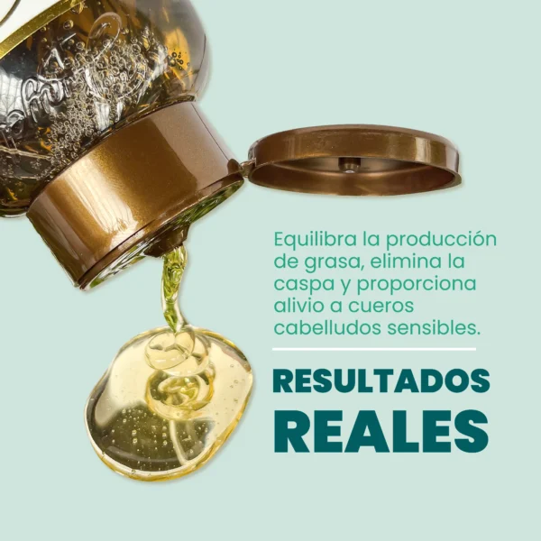 Anyeluz Shampoo Romero