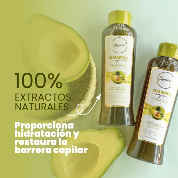 Anyeluz Shampoo Aguacate