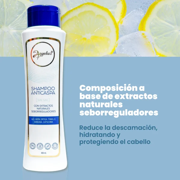 Anyeluz shampoo anticaspa