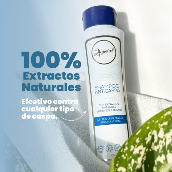 Anyeluz shampoo anticaspa