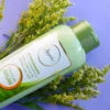 Anyeluz Acondicionador Argan y Aloe Vera